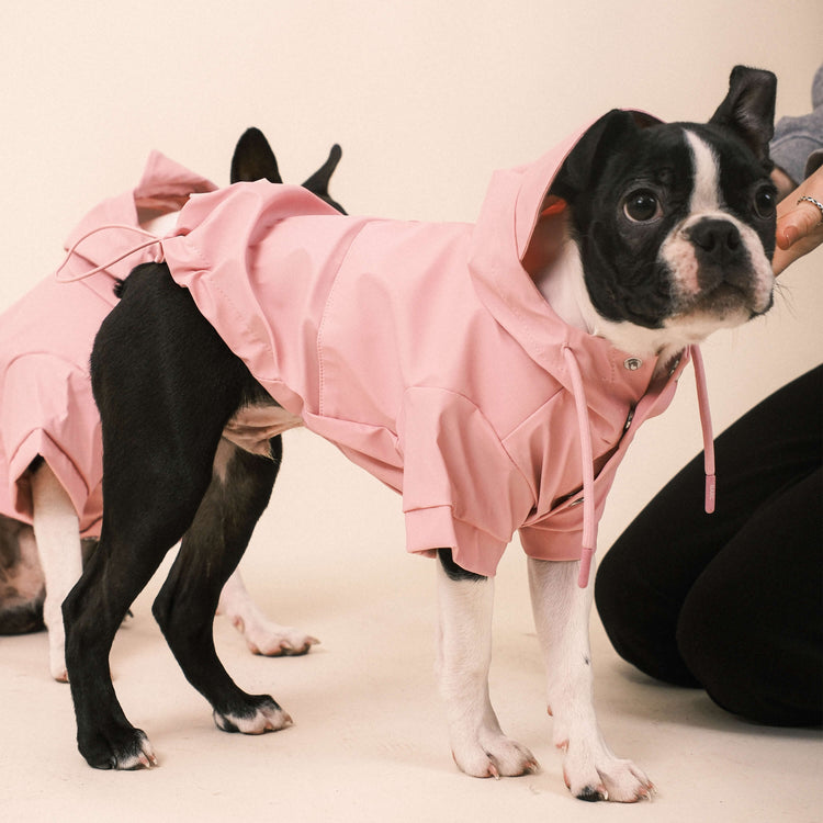 Pink Dog Raincoat