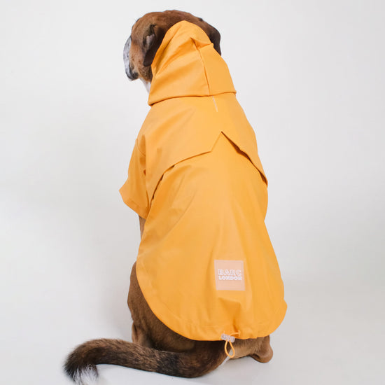 barc london dog raincoat, worn by a boxer in the colour orange