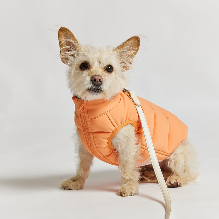Reversible Dog Puffer Jacket: Coral & Khaki Green