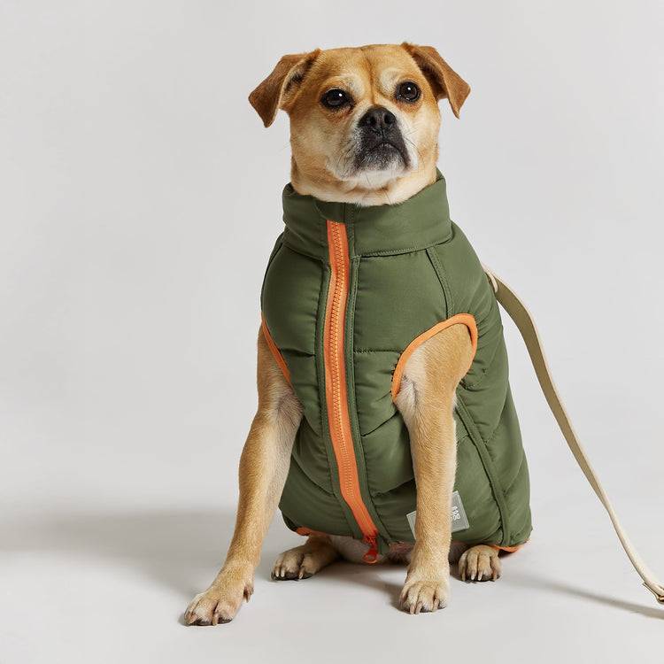 Reversible Dog Puffer Jacket: Coral & Khaki Green