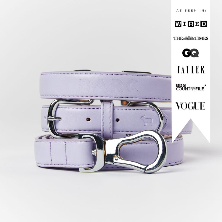 Fresh Lilac Dog Collar