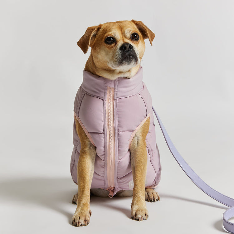 Reversible Dog Puffer Jacket: Pink & Lilac