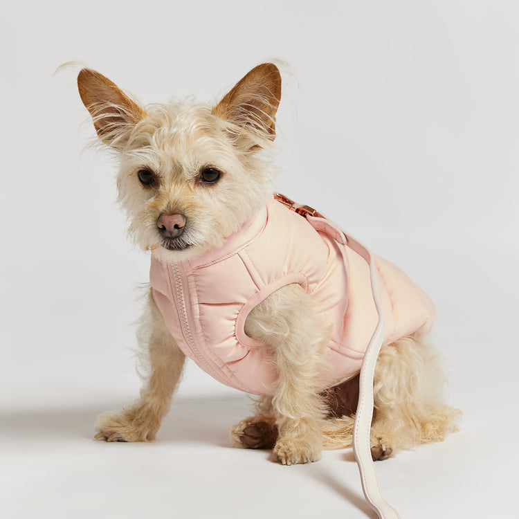 Reversible Dog Puffer Jacket: Pink & Lilac
