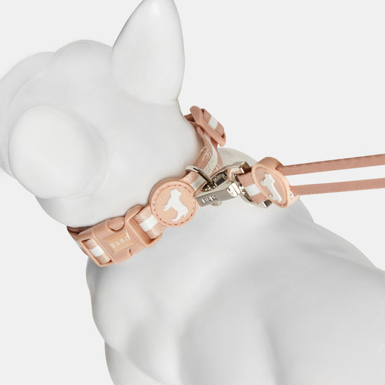 Champagne Coloured Fabric Dog Collar by Barc London. Featuring Champagne Rubber Logo.