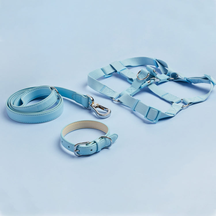 Coastal Blue Dog Harness