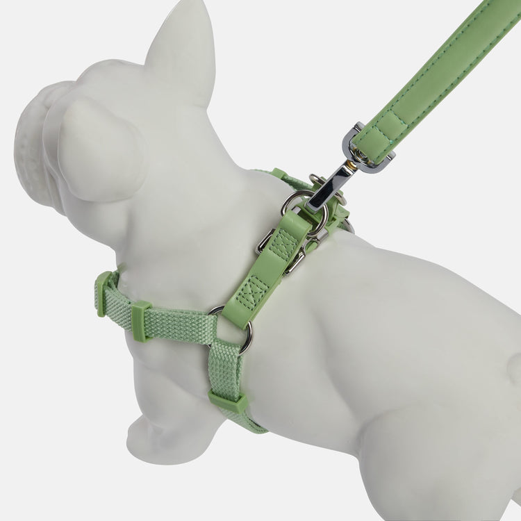 Green Puppy Harness, Available In Small Sizes 