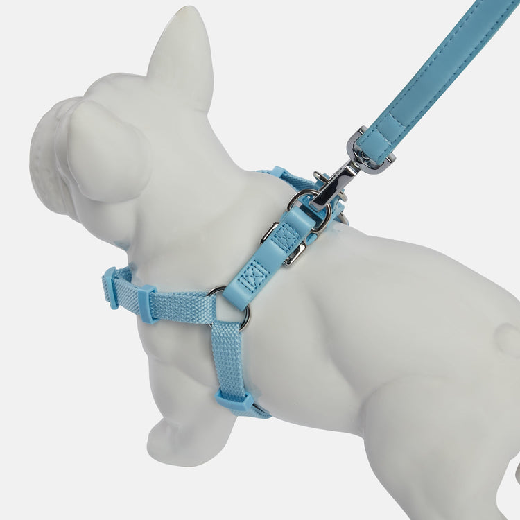 Coastal Blue Dog Harness