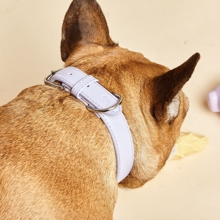 Light Purple Dog Collar by Barc London