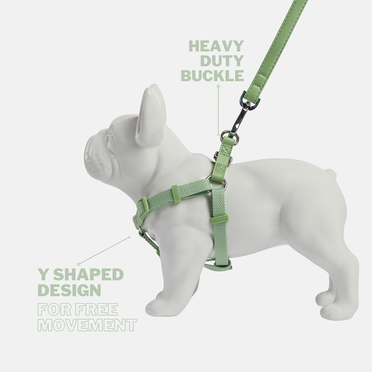 Lush Green Y Shaped Dog Harness, Designed for Complete Freedom of Movement. Back Clip Harness Fastening with Heavy Duty Chrome Buckle