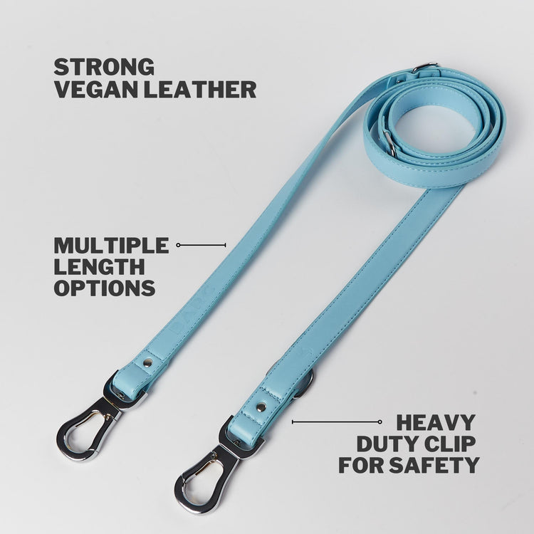 Coastal Blue Versatile Lead