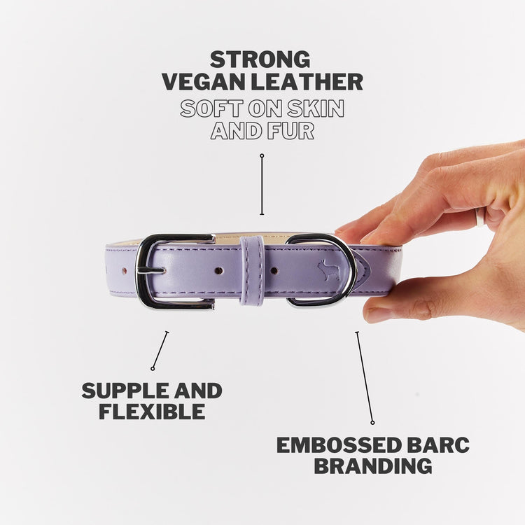 Fresh Lilac Dog Collar
