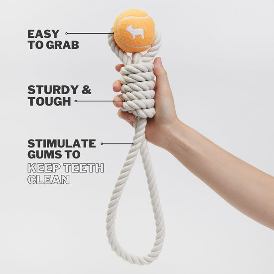 Orange Dog Ball on Rope Toy to Help Keep Dog Teeth and Gums Clean