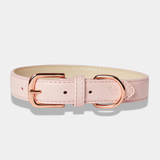 Pink Dog Collar by Barc London