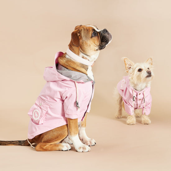Yorkshire Terrier Wears Small Pink Dog Coat In Waterproof Material