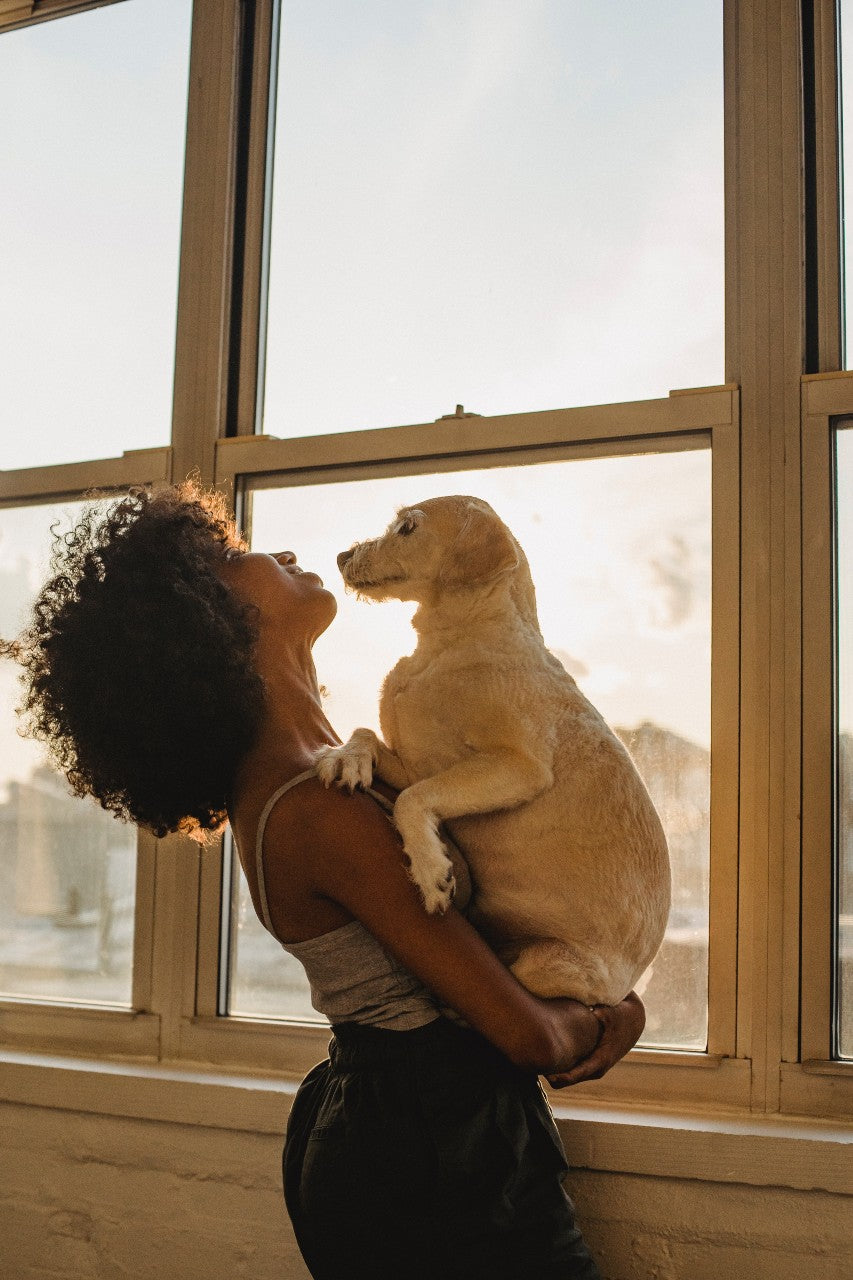 Source: Pexels by Samson Katt
