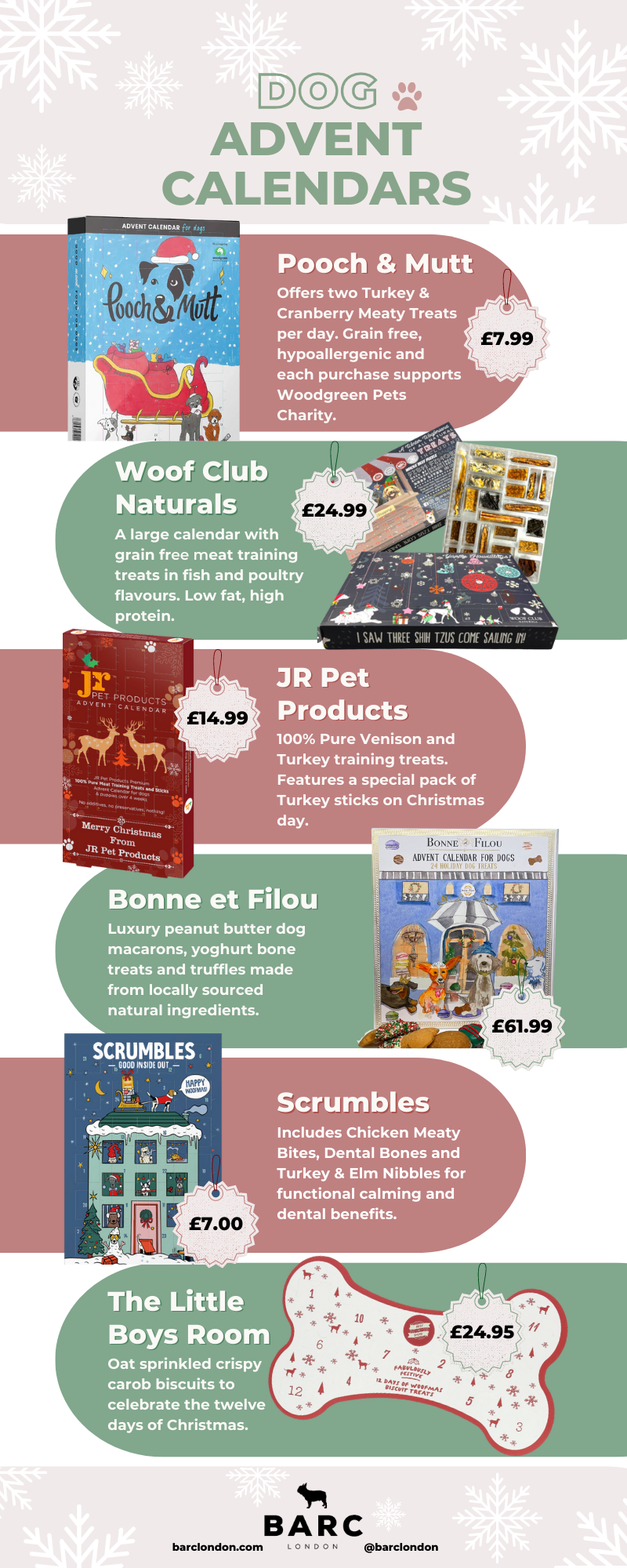 Dog Advent Calendars, photo from Canva by Switlana Symonenko 