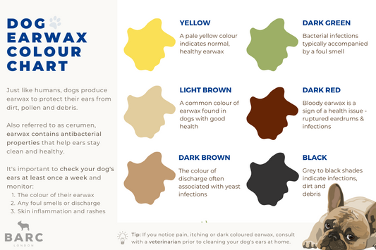 A Guide to Dog Ear Wax: Colour Charts & Visual Graphic