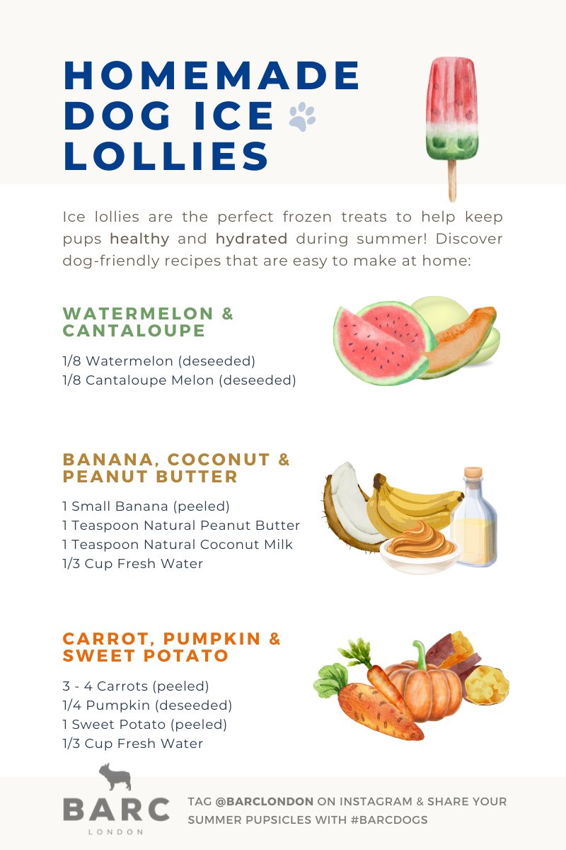 Dog Ice Lollies: Easy Frozen Treats to Keep Your Pup Cool This Summer