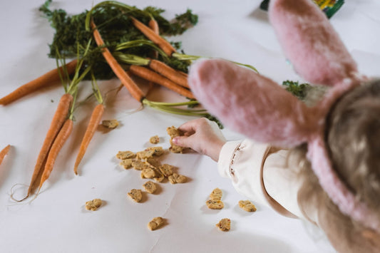 Child With Easter Treats For Dogs by Diana Hasanbekava from Pexels