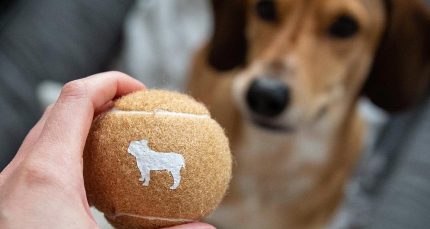 Fetch Dog Toys - Barc Ball