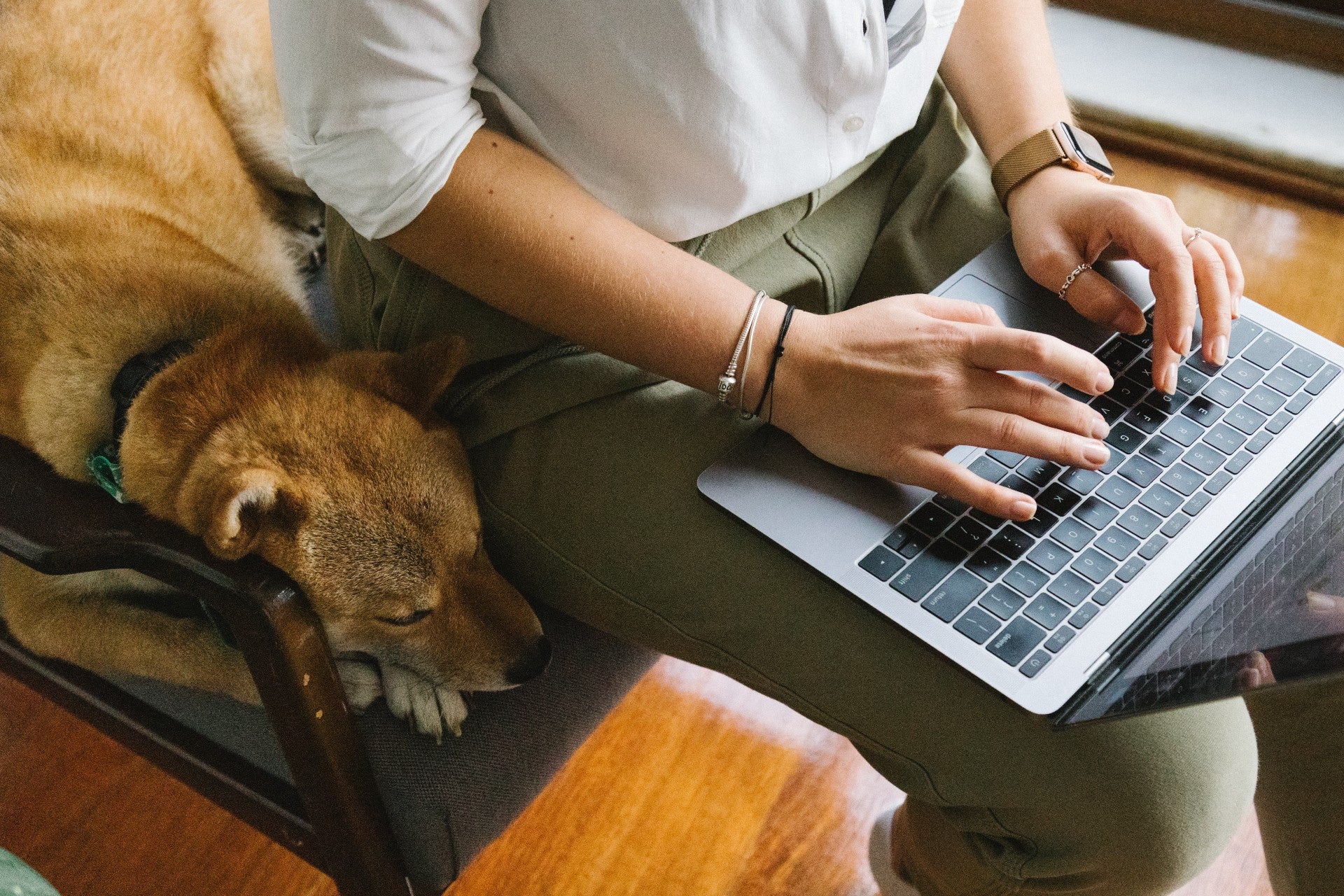 How To Have a Dog and Work Full Time