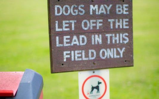 Off Lead Field Sign Demonstrating UK Dog Laws. Photo from Canva.