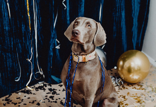 Photo by Karolina Grabowska via Pexels