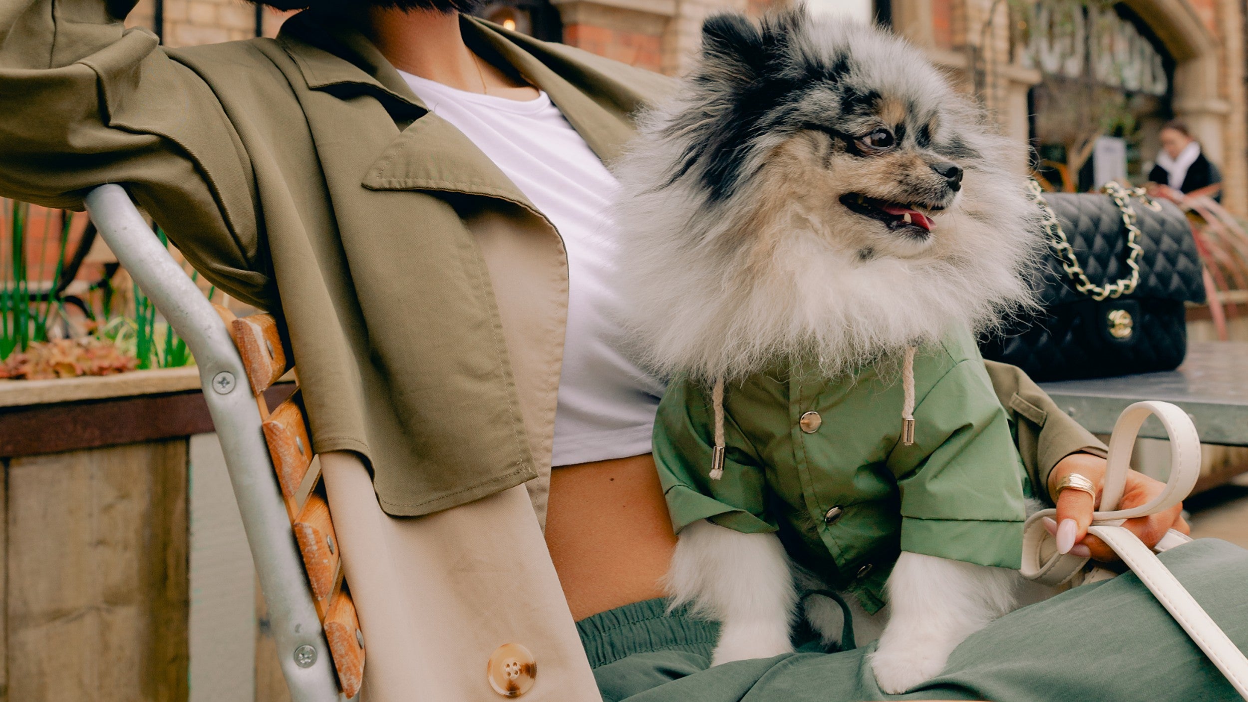 Autumn Dog Accessories & Apparel by Barc London