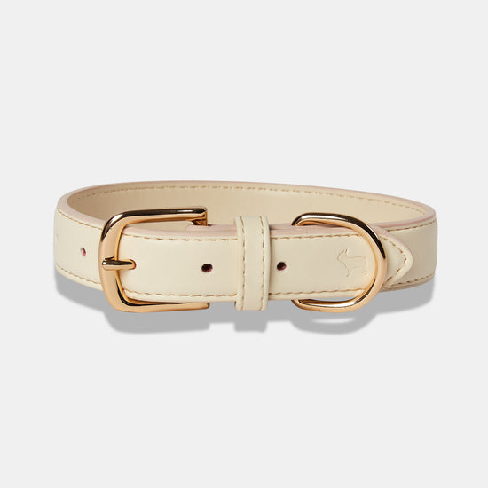 Ivory Dog Collar from Matching Set