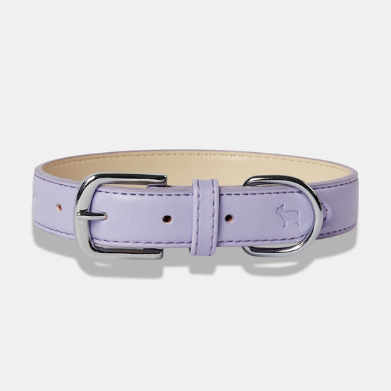 Purple Dog Collar from Matching Set