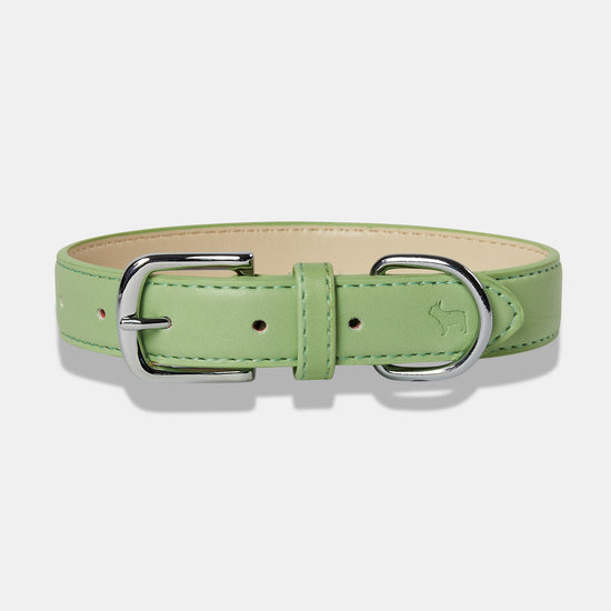 Green Dog Collar from Matching Set
