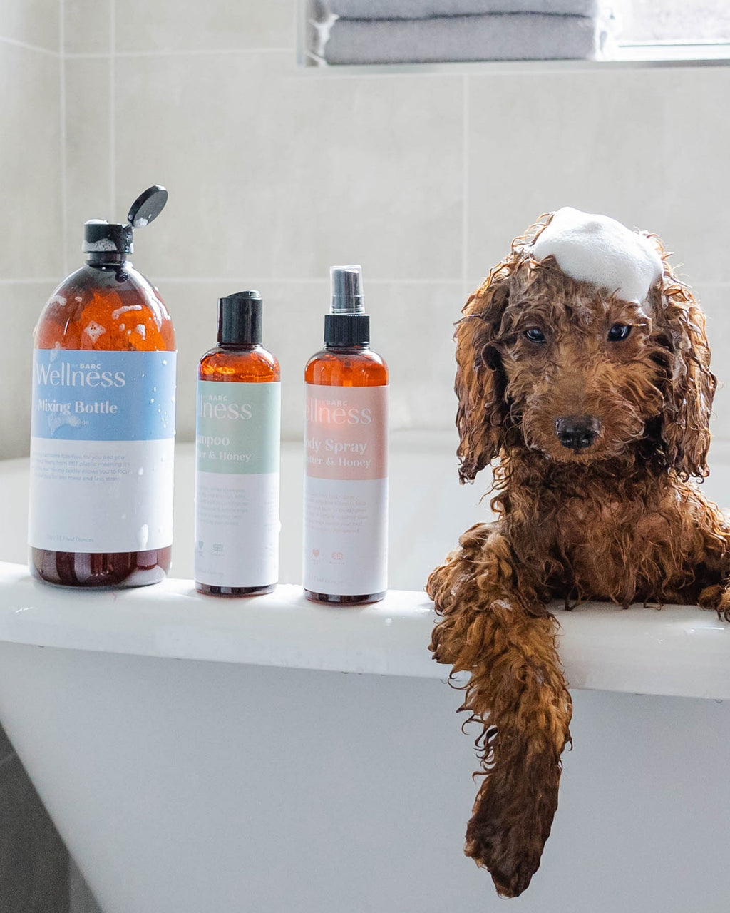 Cockapoo puppy having a bath with shea butter shampoo