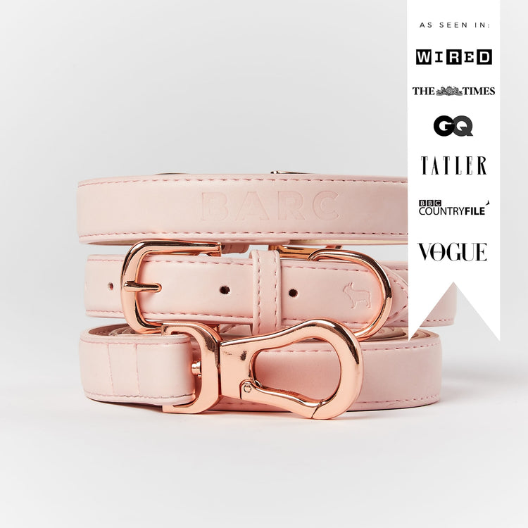 Barc London's Pink Dog Collar and Lead set, as seen in popular publications