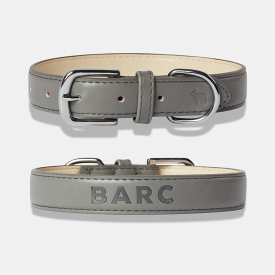 Ash Grey Dog Collar Details, Front and Back View