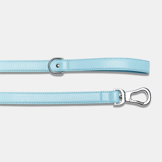 Blue Dog Lead Handle and Clasp Details