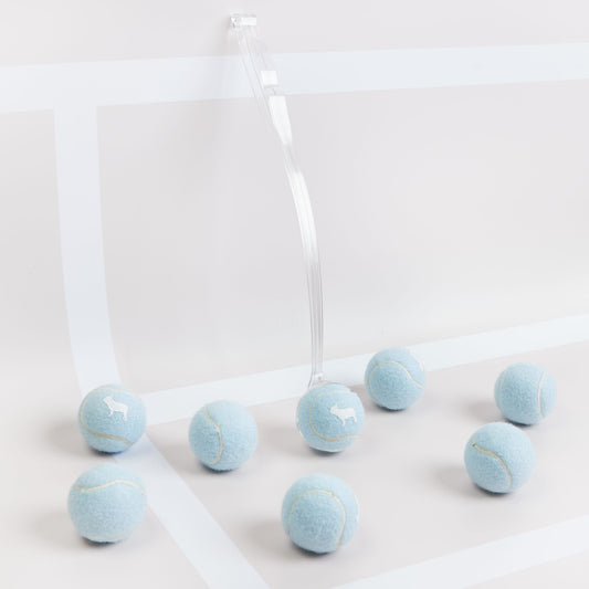 Transparent Ball Thrower with Blue Dog Tennis Balls
