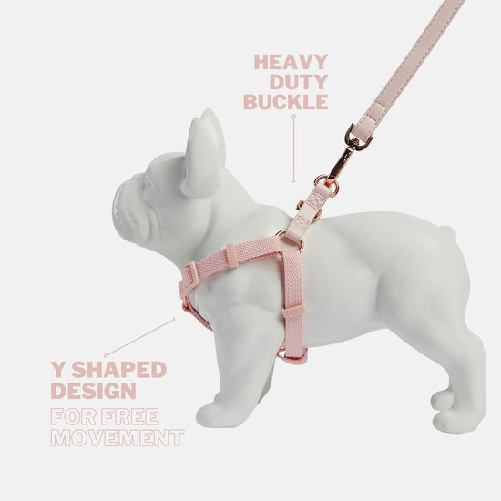 Blush Pink Dog Harnesss and Lead with Y Shape Design and Rose Gold Buckles