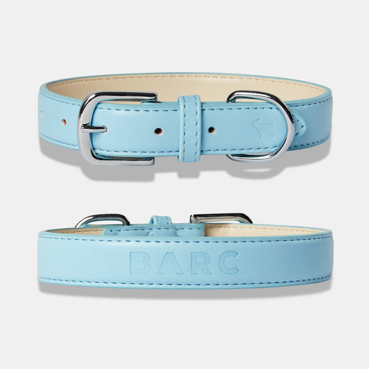 Coastal Blue Dog Collar Details, Front and Back View