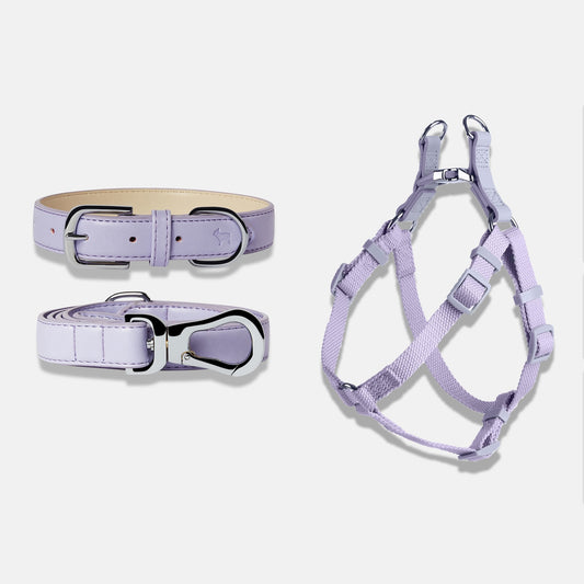 Dog Harness, Collar and Lead Set in Fresh Lilac