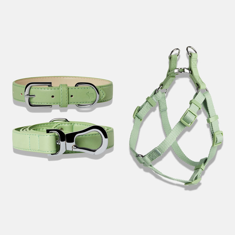 Dog Harness, Collar and Lead Set in Lush Green