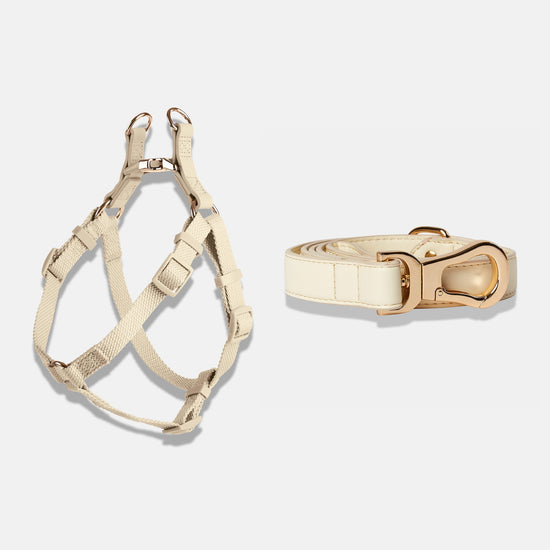 Dog Harness and Lead in Light Ivory