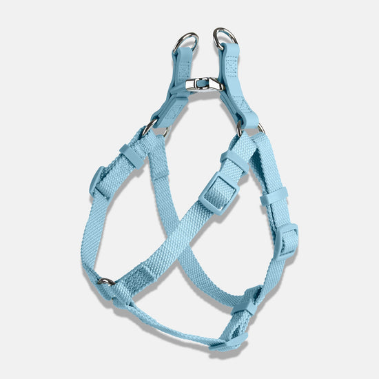 Dog Harness in Blue