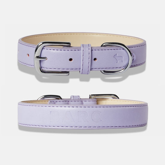Fresh Lilac Dog Collar Details, Front and Back View