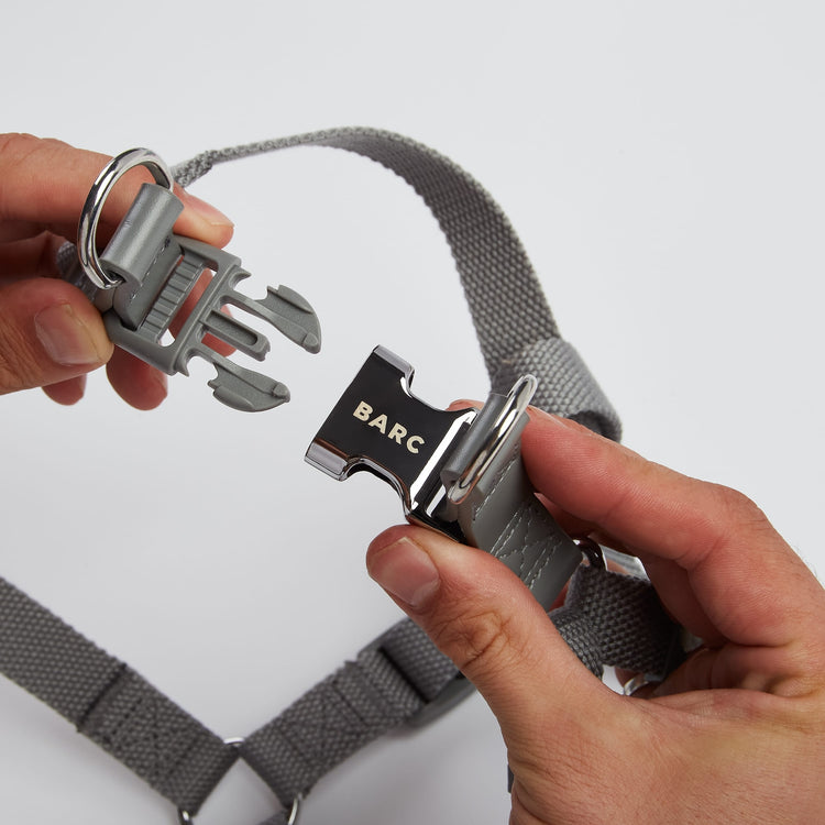 Grey Harness with Matching Chrome Lead Attachment