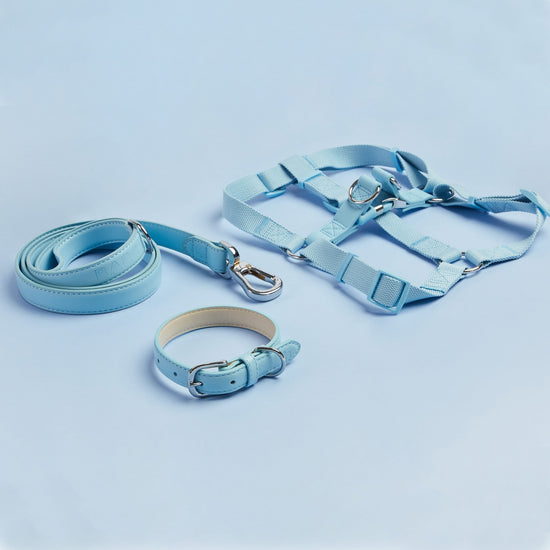 Matching Barc London Harness, Collar and Lead Set in Blue