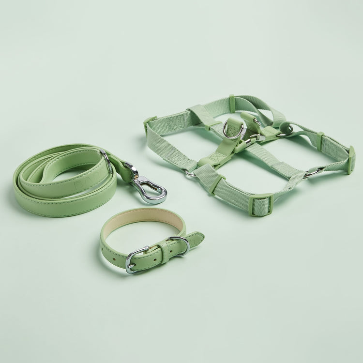 Harness, Collar and Lead Set in Green