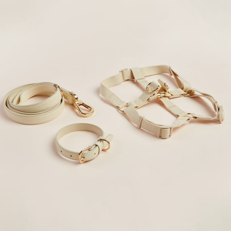 Harness, Collar and Lead Set in Ivory