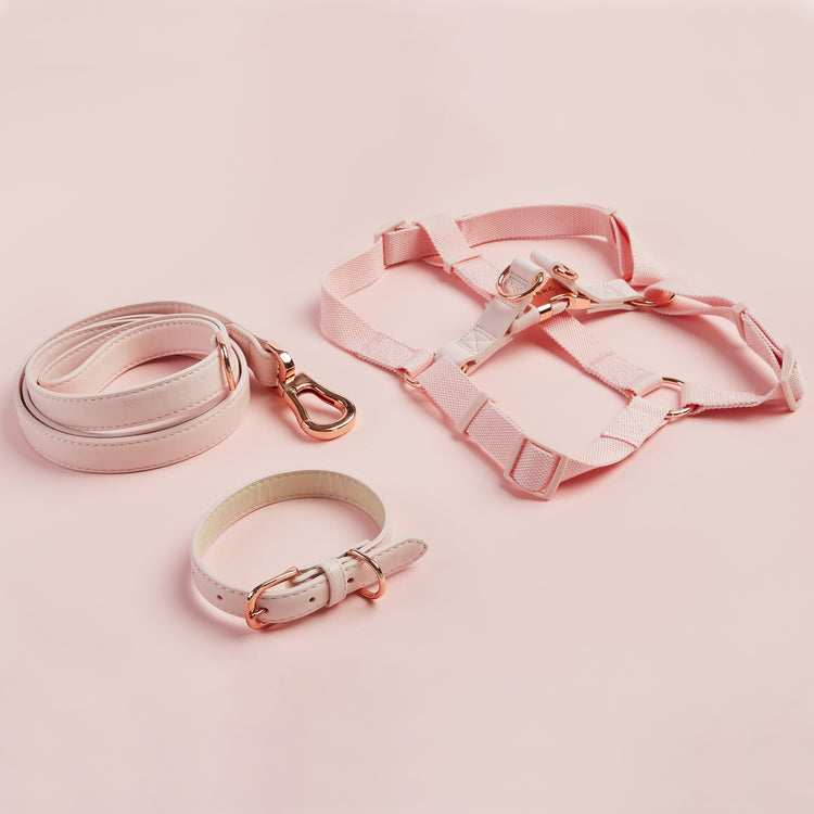 Harness, Collar and Lead Set in Pink
