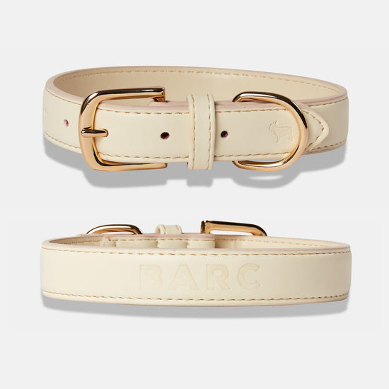 Light Ivory Dog Collar Details, Front and Back View
