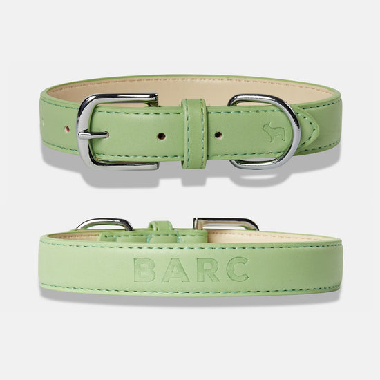 Lush Green Dog Collar Details, Front and Back View